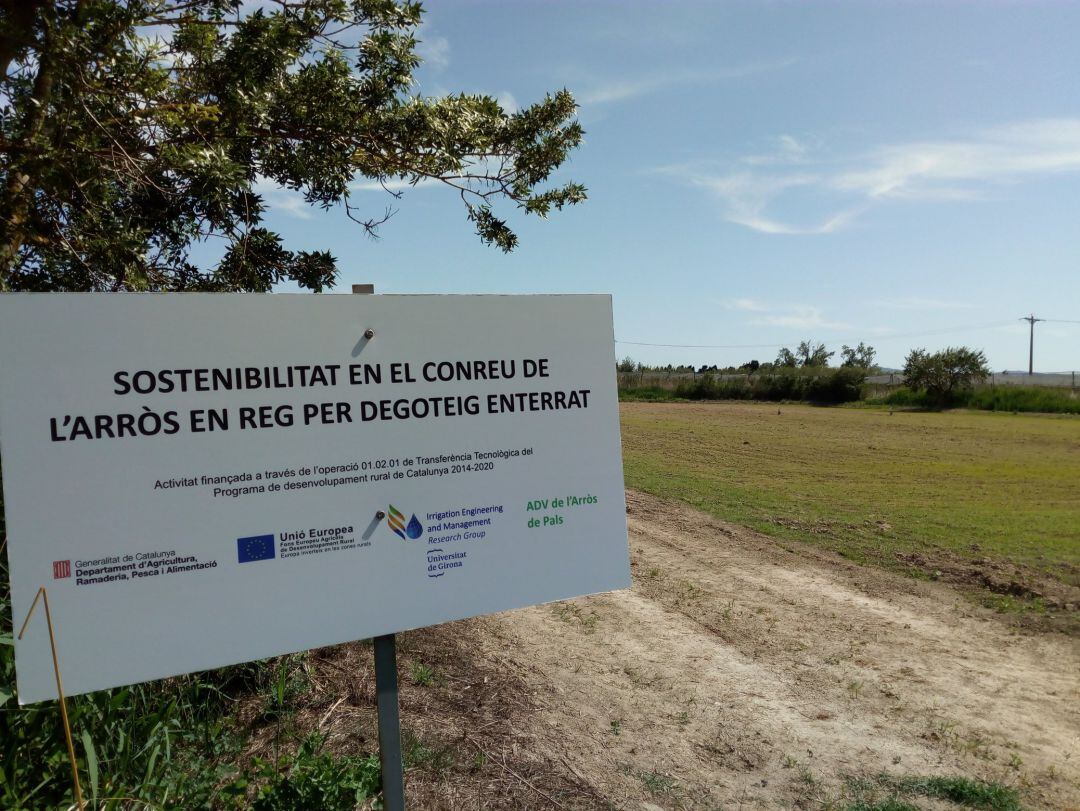 El camp on es treballa