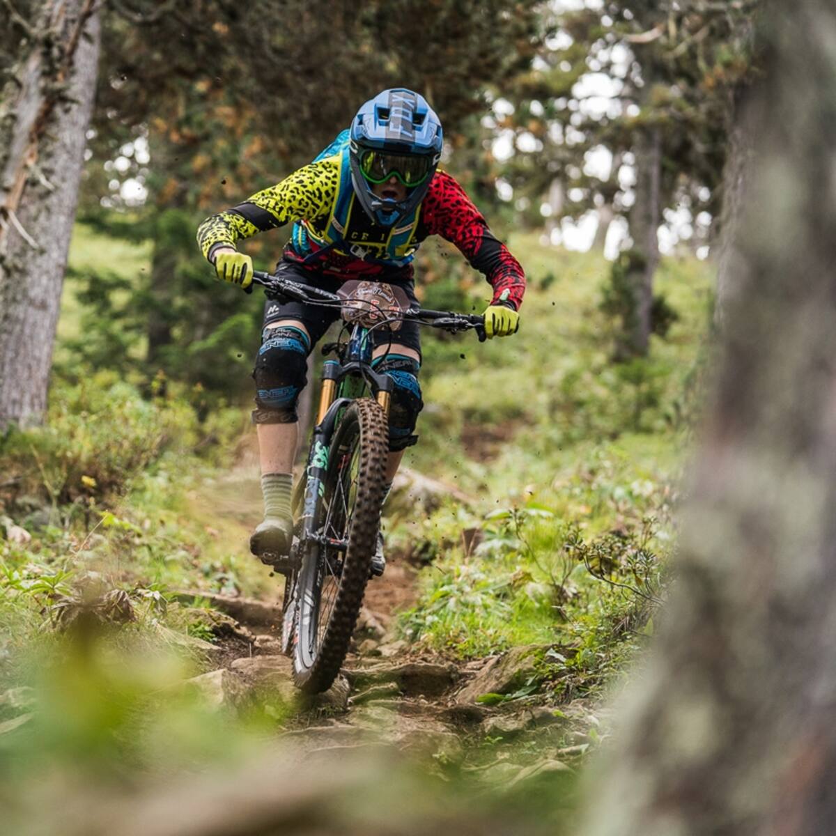 La edición 2019 de Trans-Nomad se celebrará del 2 al 6 de octubre