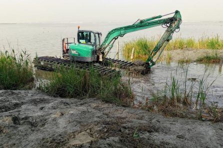 Los servicios municipales han dragado esta semana una zona de la Gola de Pujol.