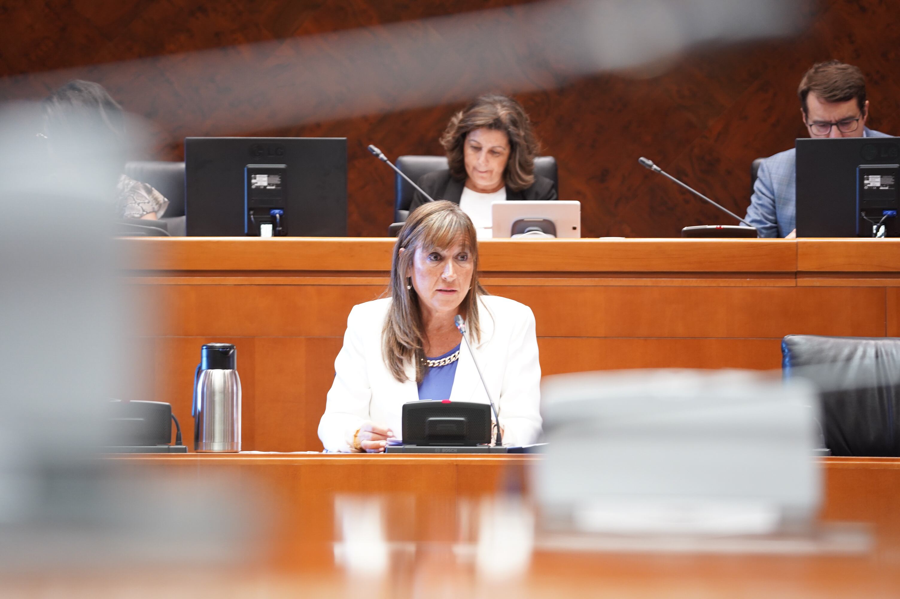 La consejera de Sanidad, Sira Repollés, durante su intervención en comisión en las Cortes de Aragón