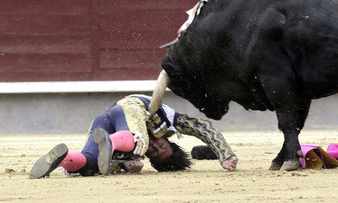 El diestro David Mora, arrollado por su primer toro, de la ganadería de El Ventorrillo, en el duodécimo festejo de la Feria de San isidro, hoy en la plaza de Toros de Las Ventas.