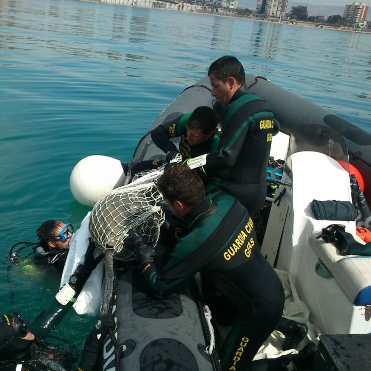 Ahogado en una balsa en Fortuna al intentar rescatar un gato