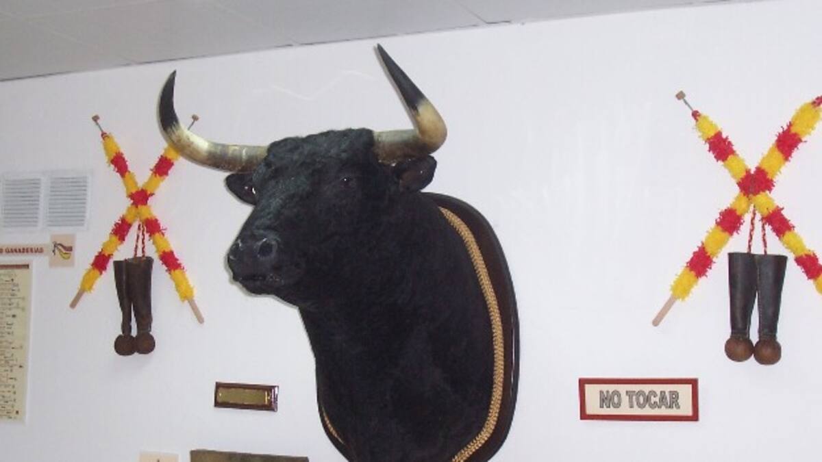 Barbastro celebra el Día Internacional de los Museos