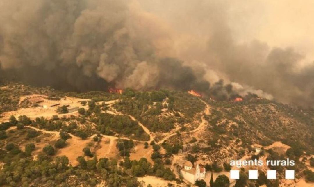 Incendio en Vinebre, en la comarca de Ribera d&#039;Ebre (Tarragona), durante el pasado verano