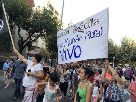 Vecinos de varios pueblos por donde discurre el trazado de FEVE acudieron a León para secundar la manifestación