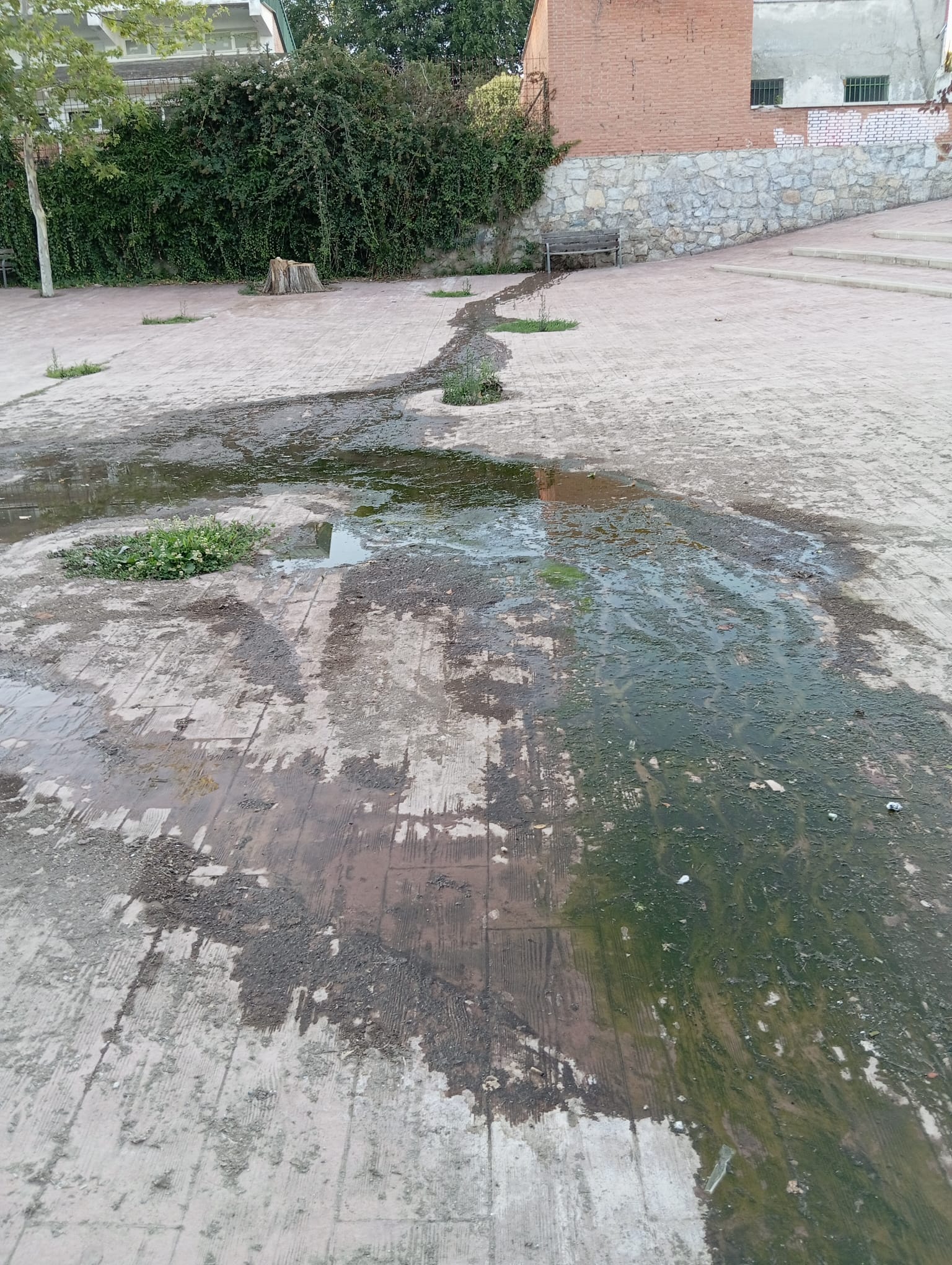 Imagen de la filtración de agua a la calle de la piscina municipal de Colmenar Viejo.