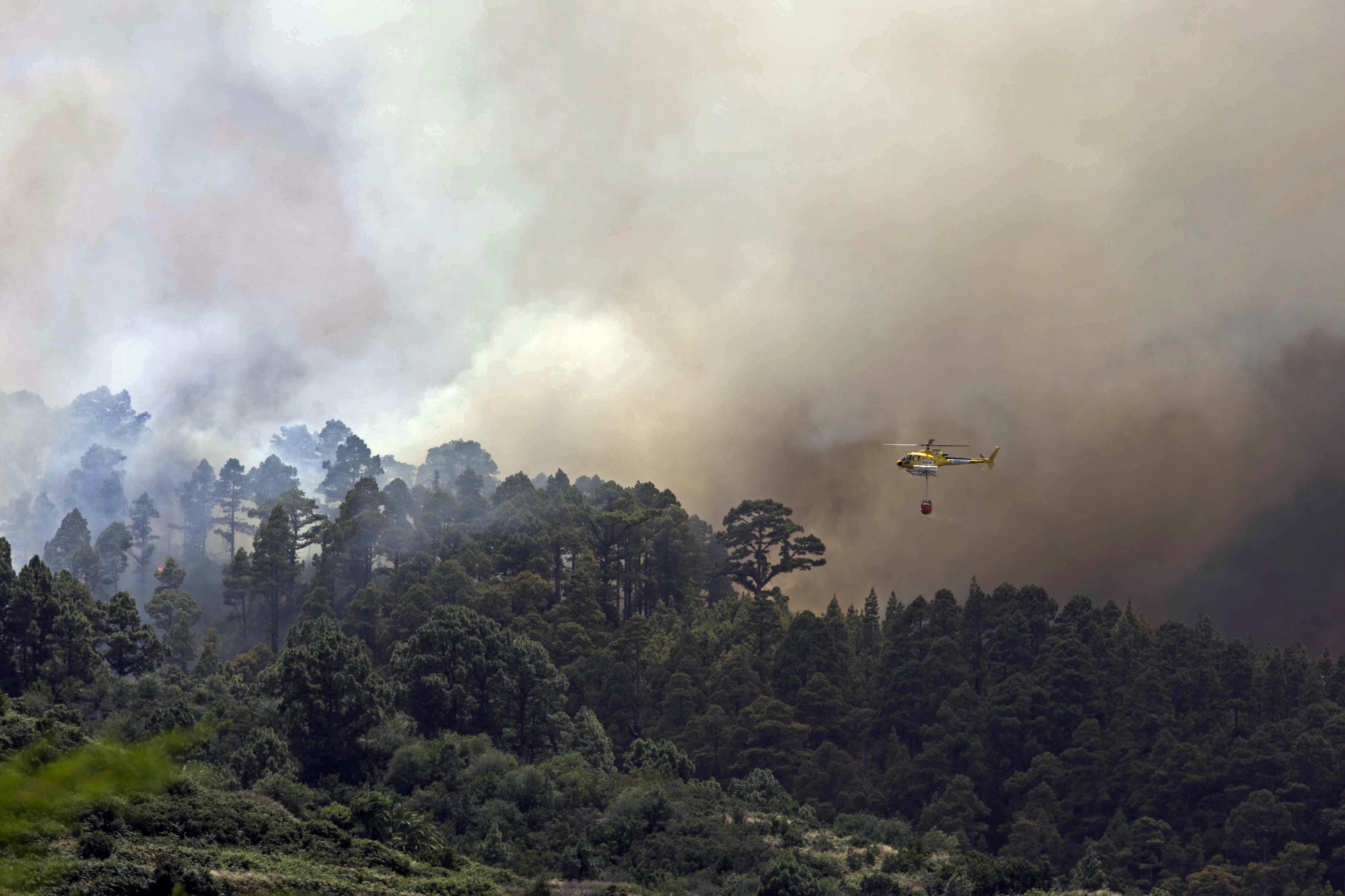 Ocho medios aéreos intervienen en la extinción del incendio forestal que se ha declarado este jueves en la zona de Los Campeches en el municipio tinerfeño de Los Realejos, en una zona de difícil acceso