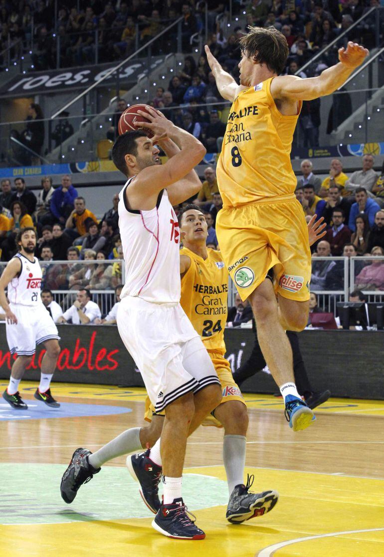 GRA170. LAS PALMAS DE GRAN CANARIA, 25/01/2015.- El ala pívot del Real Madrid Felipe Reyes (i) y el alero australiano del Herbalife Gran Canaria Brad Newley (d), durante el partido de la liga ACB que ambos equipos disputaron hoy en el Gran Canaria Arena, en Las Palmas de Gran Canaria. EFE/Elvira Urquijo A.