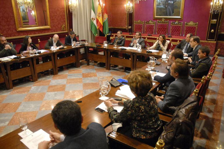 Comisión de Economía en el Ayuntamiento de Granada