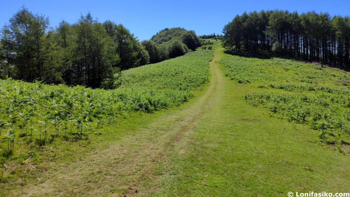 Una nueva exposición llega a Debabarrena