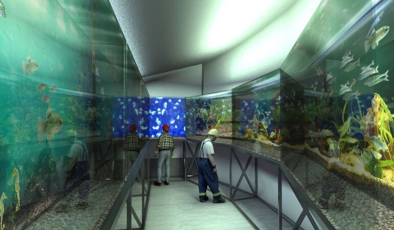 Imagen virtual del acuario proyectado en la Plaza Nueva