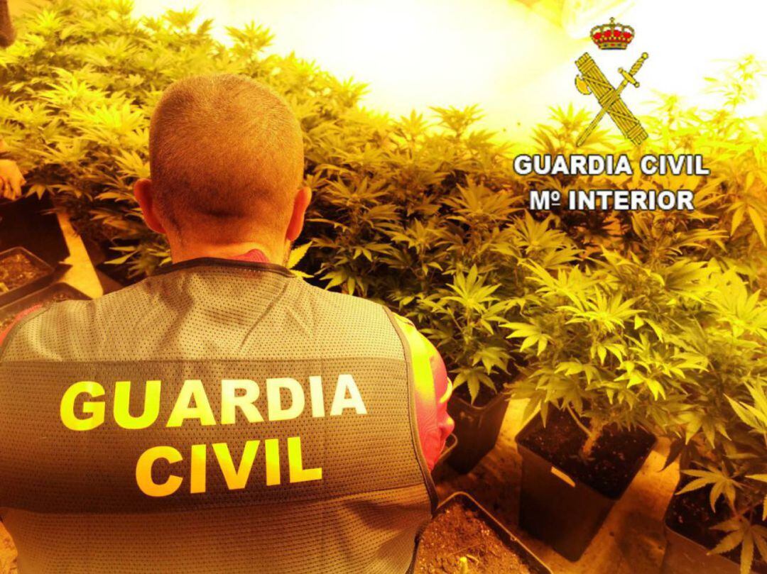 Imagen de archivo de una operación anterior de la Guardia Civil contra el tráfico de drogas en Elda