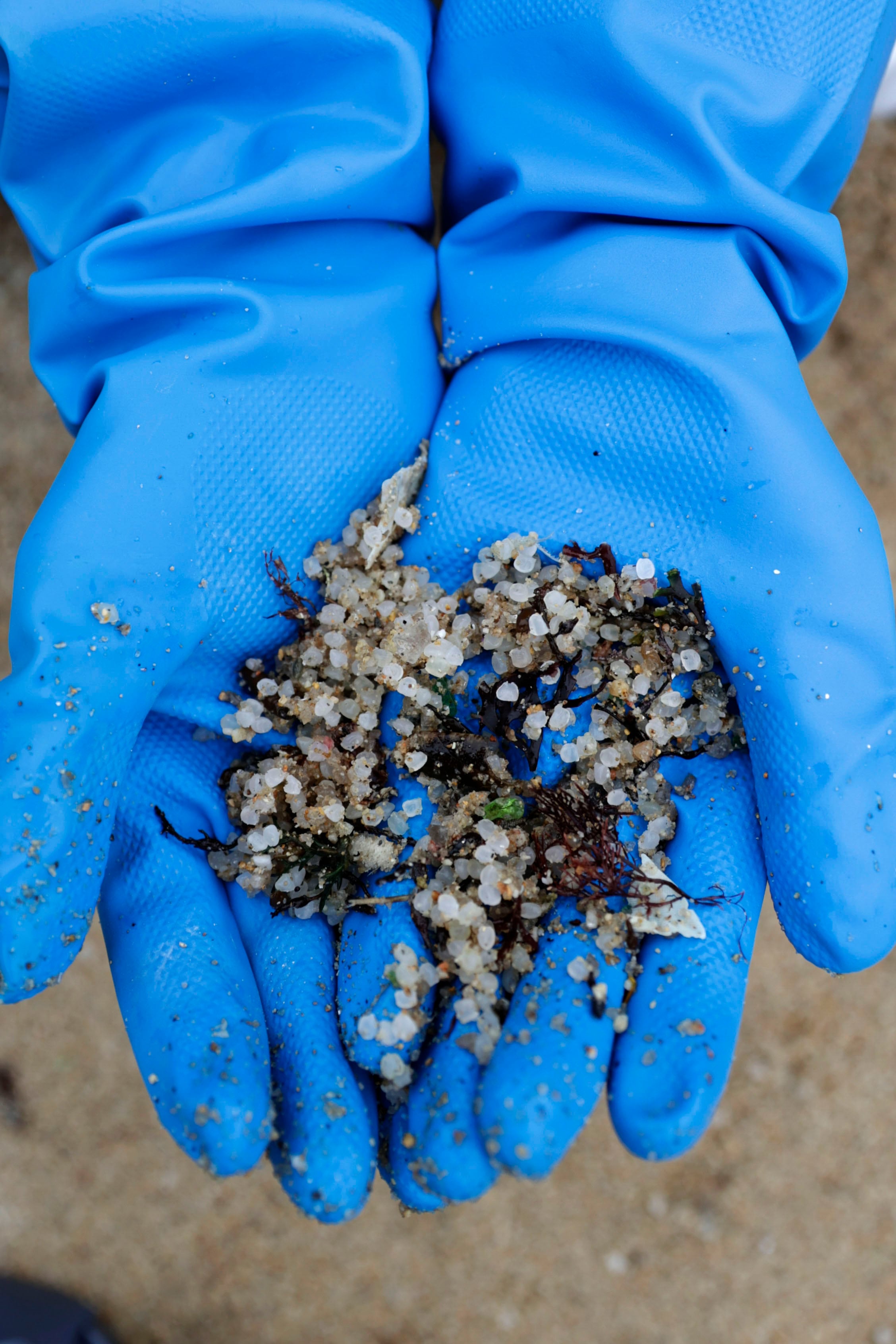 A CORUÑA, 08/01/2024.- Una voluntaria recogía pellets de plástico este lunes en la playa coruñesa de O Portiño. La vicepresidenta segunda de la Xunta y conselleira de Medio Ambiente, Ángeles Vázquez, ha informado que el Gobierno autonómico descarta elevar al nivel 2 la fase de emergencia por contaminación marina por el vertido de pellets en la costa gallega y pide que se hagan recogidas &quot;de manera ordenada&quot;. EFE/Cabalar
