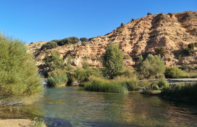 Río Guadiela en la cola del embalse de Buendía.