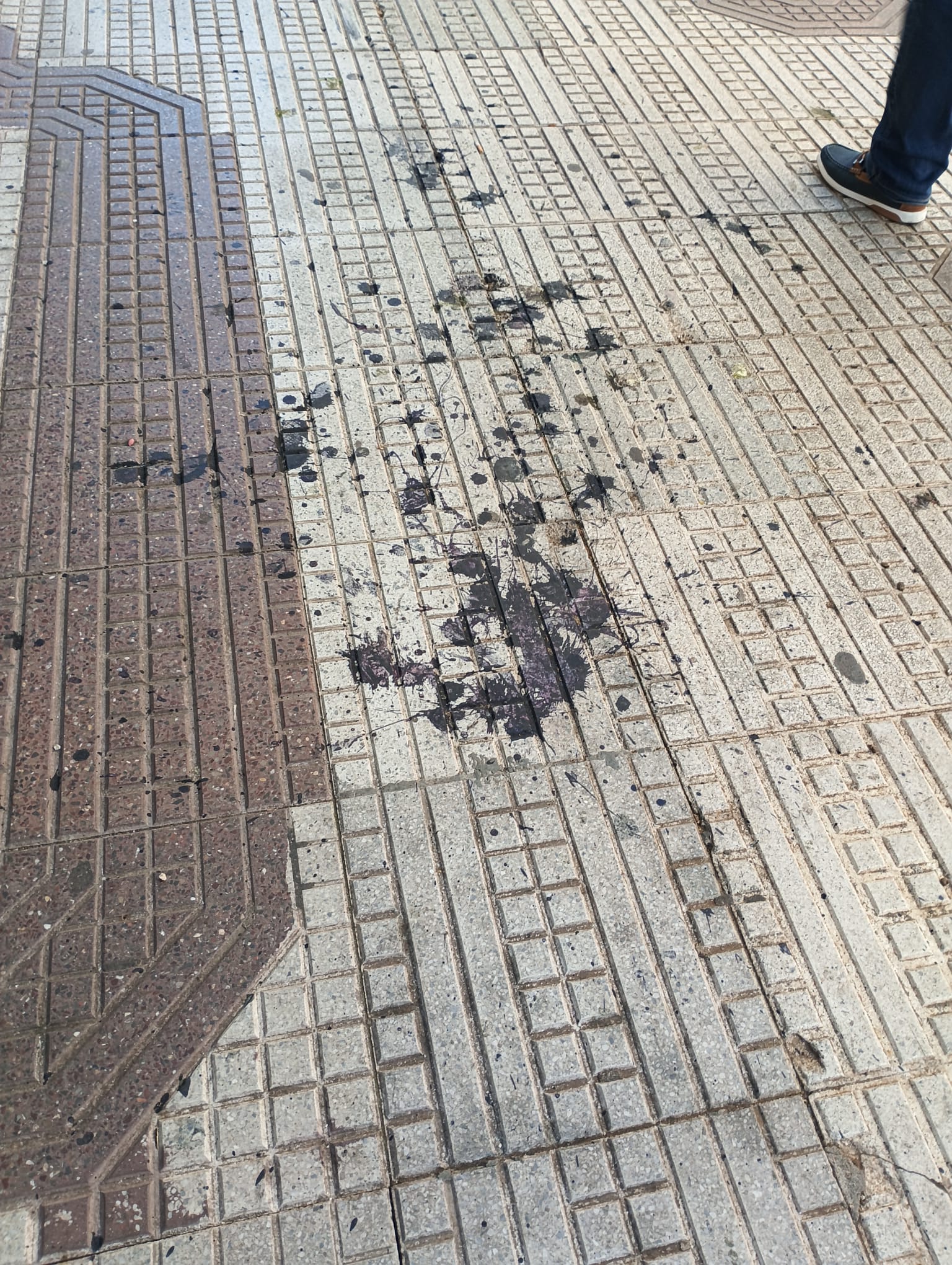 Deposiciones de aves en zona centro de Puertollano