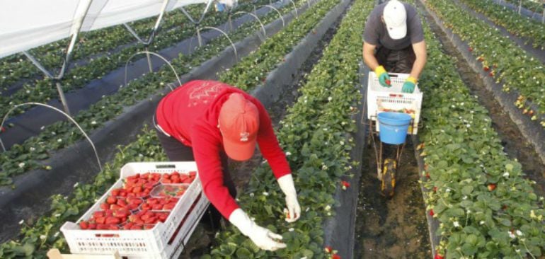 El paro baja en abril gracias a la agricultura y el turismo. 