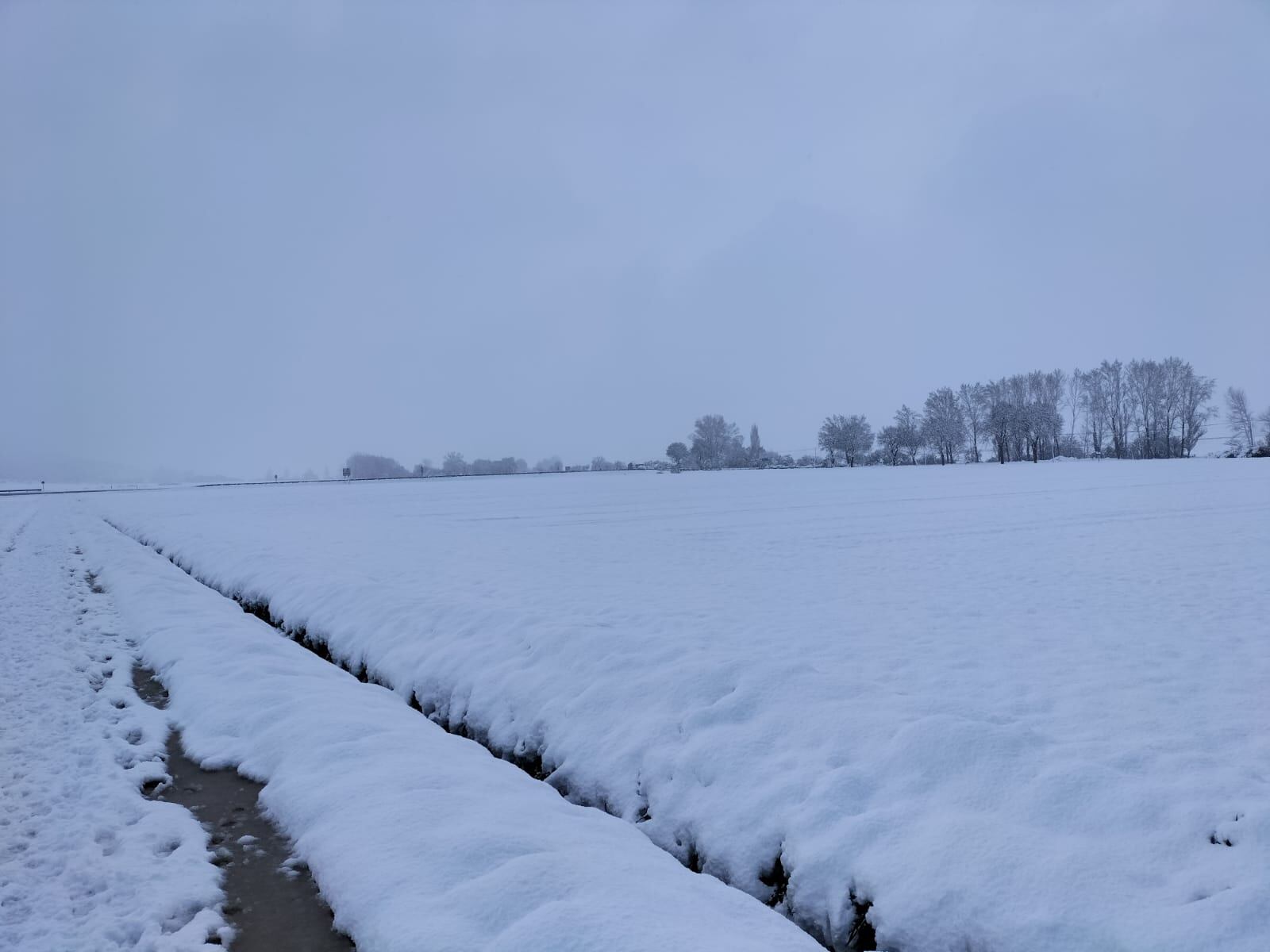 Nieve en abril. Alegría-Dulantzi (Araba)