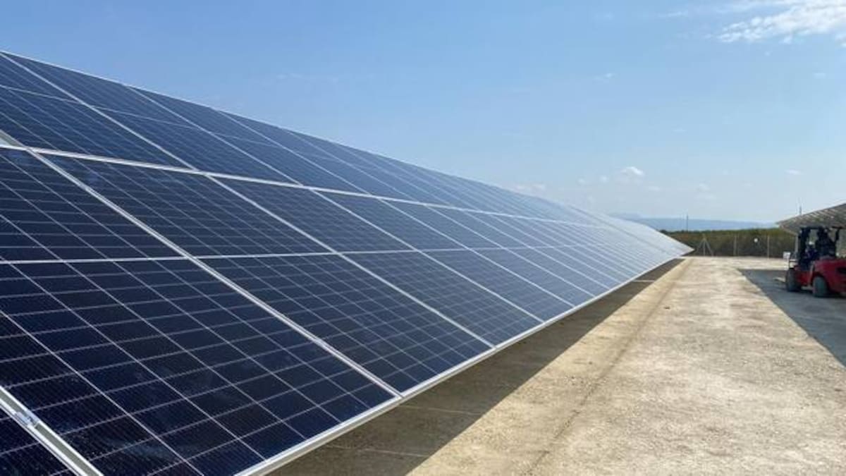 Finalizan cinco años de trámites para la construcción de una planta solar fotovoltaica en Albaida
