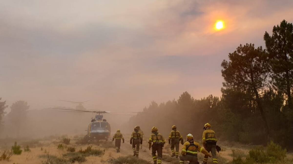 Reactivados distintos focos en los incendios de Monsagro y Candelario a primera hora de este miércoles
