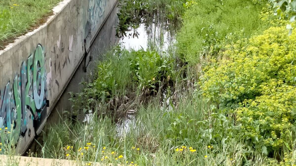 La asociación de vecinos de Olivares denuncia el mal funcionamiento del colector del arroyo de Valderrey