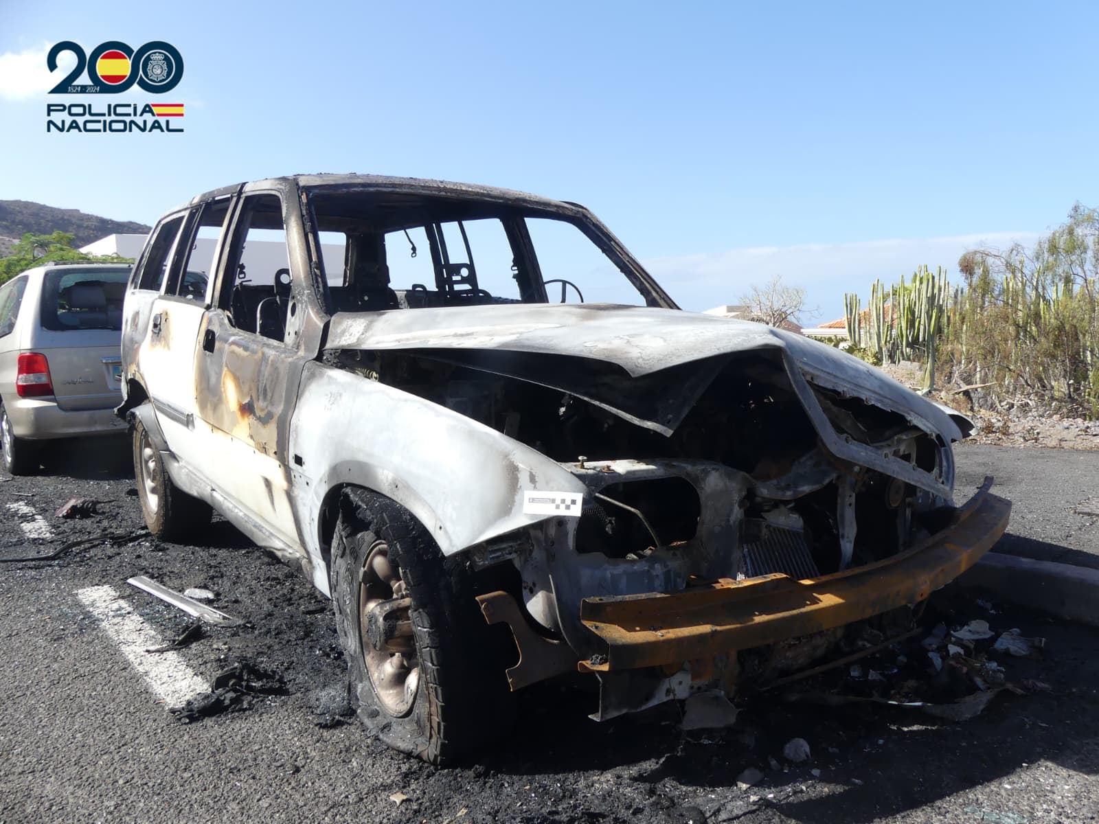 Coche calcinado tras un incendio en Adeje.