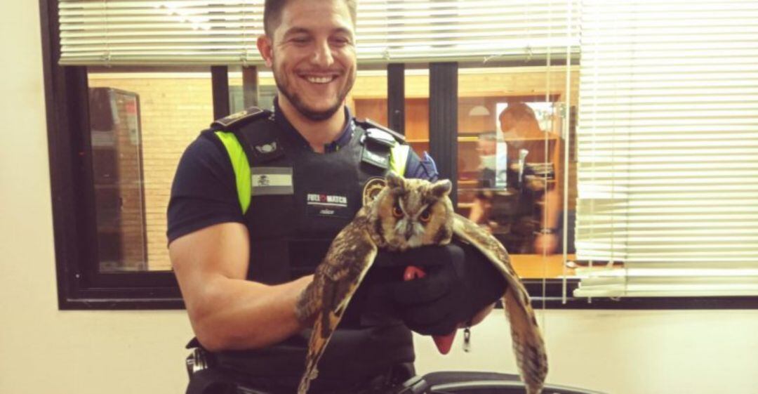 Agente de policía con el buho rescatado