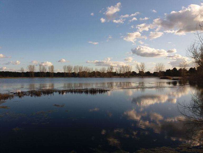 Laguna de El ESpadañal