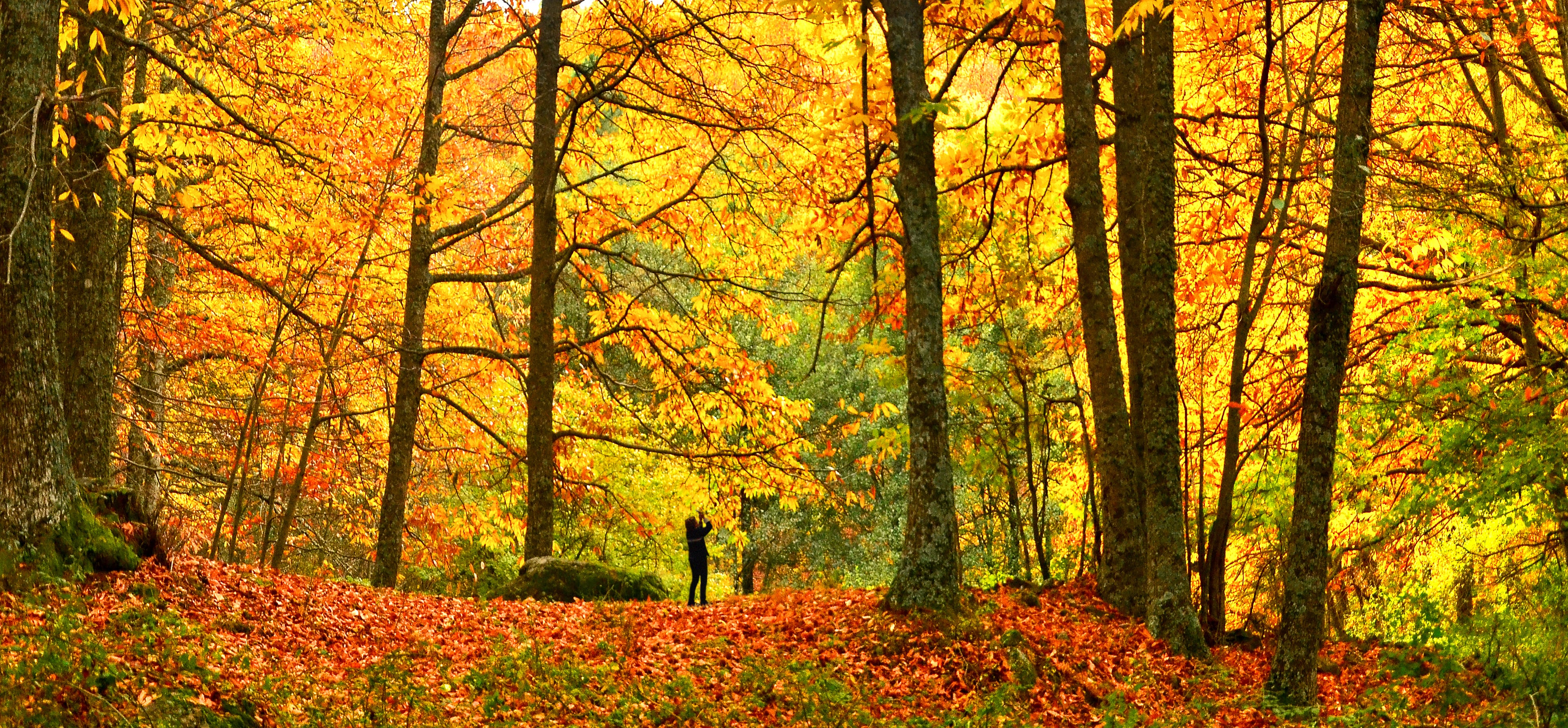 El otoño llega a España