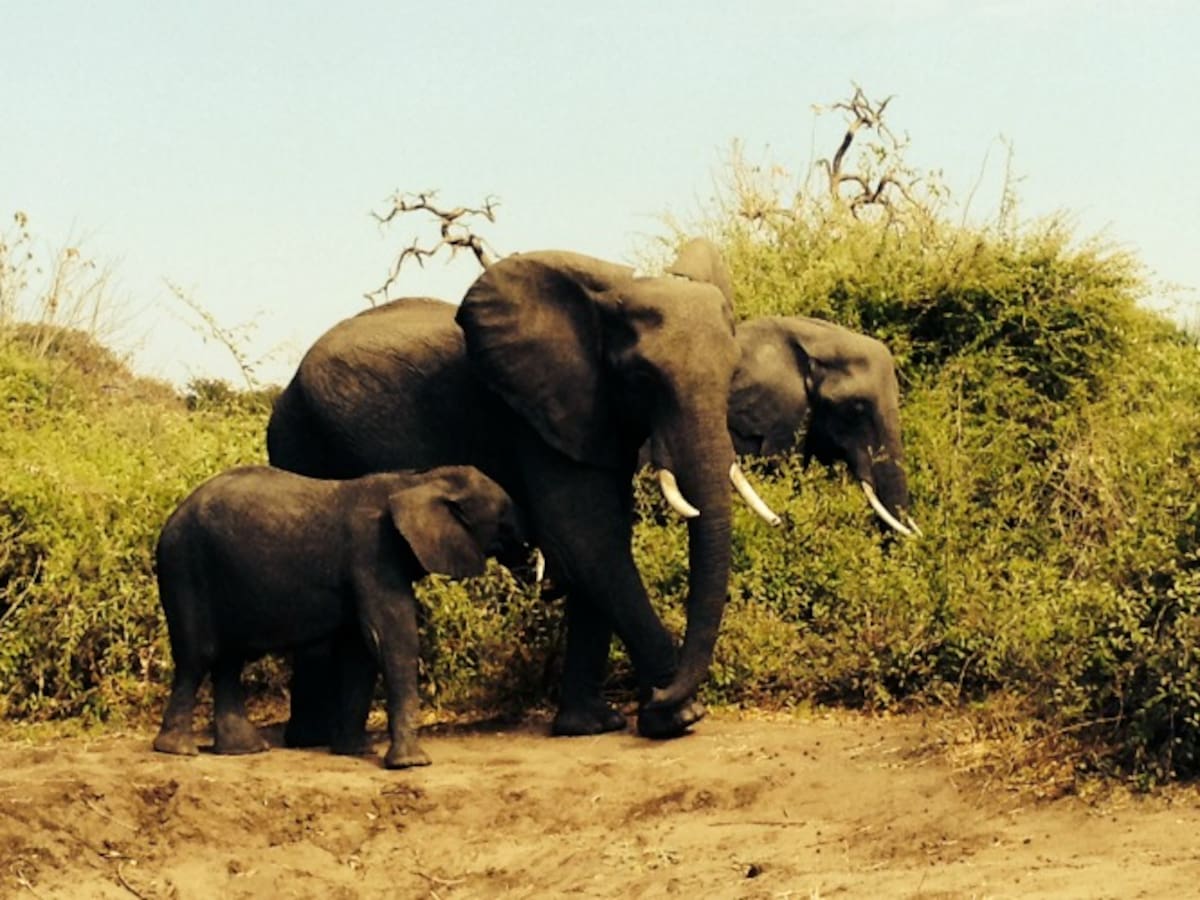 Viajando por la vida | 19-08-2014