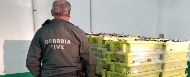 Un Guardia Civil en la lonja de A Coruña