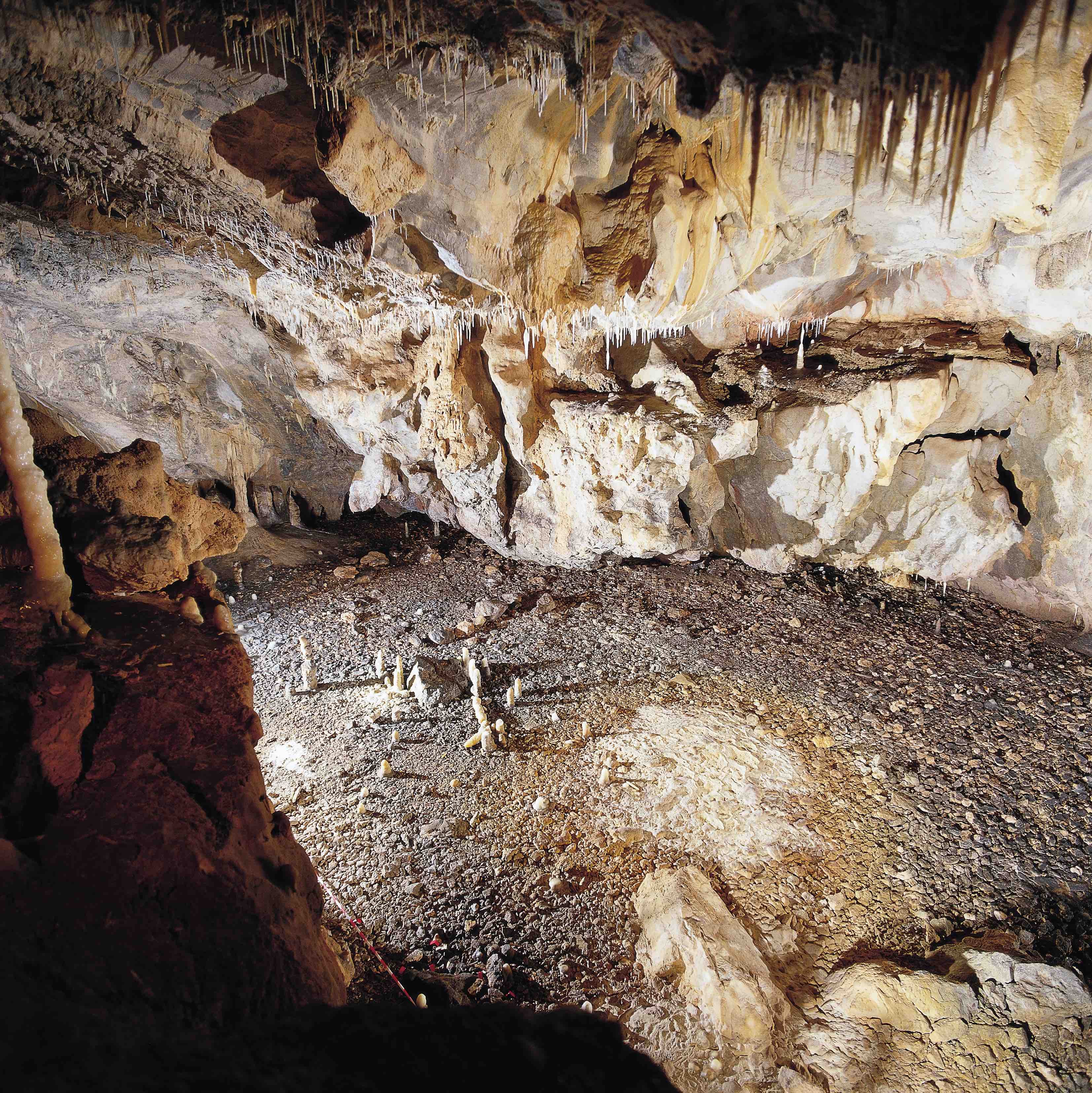 Vista de la cabaña paleolítica descubierta por el equipo de arqueólogos de La Garma en el yacimiento cántabro. Se trata de una de las viviendas paleolíticas mejor conservadas del mundo: una cabaña que se construyó hace 16.800 años, en la que se ha documentado miles de objetos que muestran cómo era la vida cotidiana de los cazadores y recolectores que la habitaron.