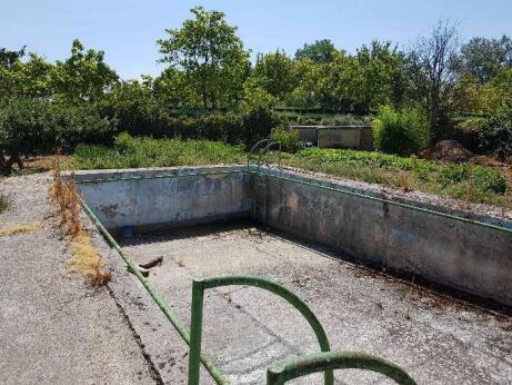 La finca alberga una pequeña piscina, entre otras cosas