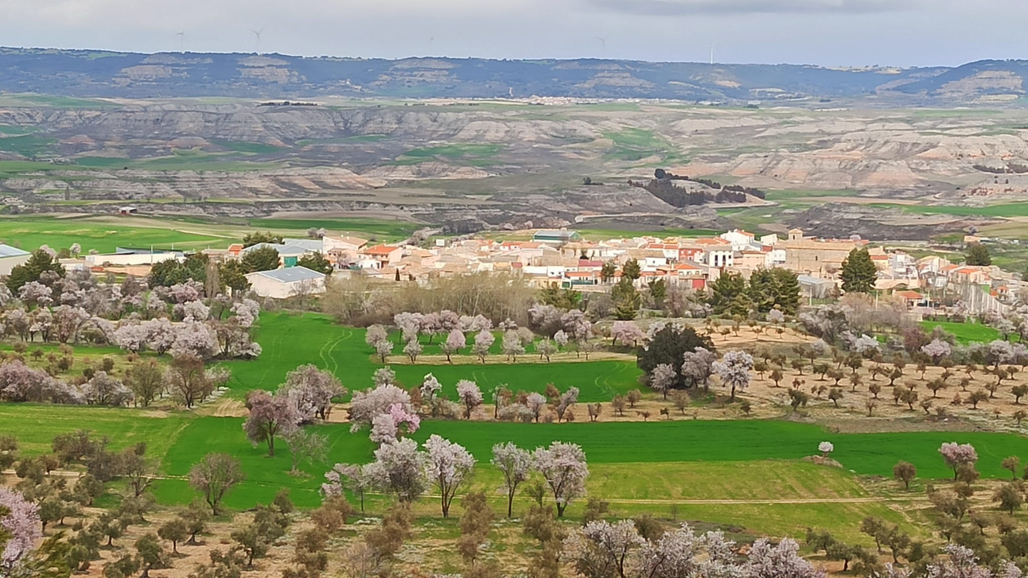 Imagen panorámica de Portalrubio de Guadamejud (Cuenca).