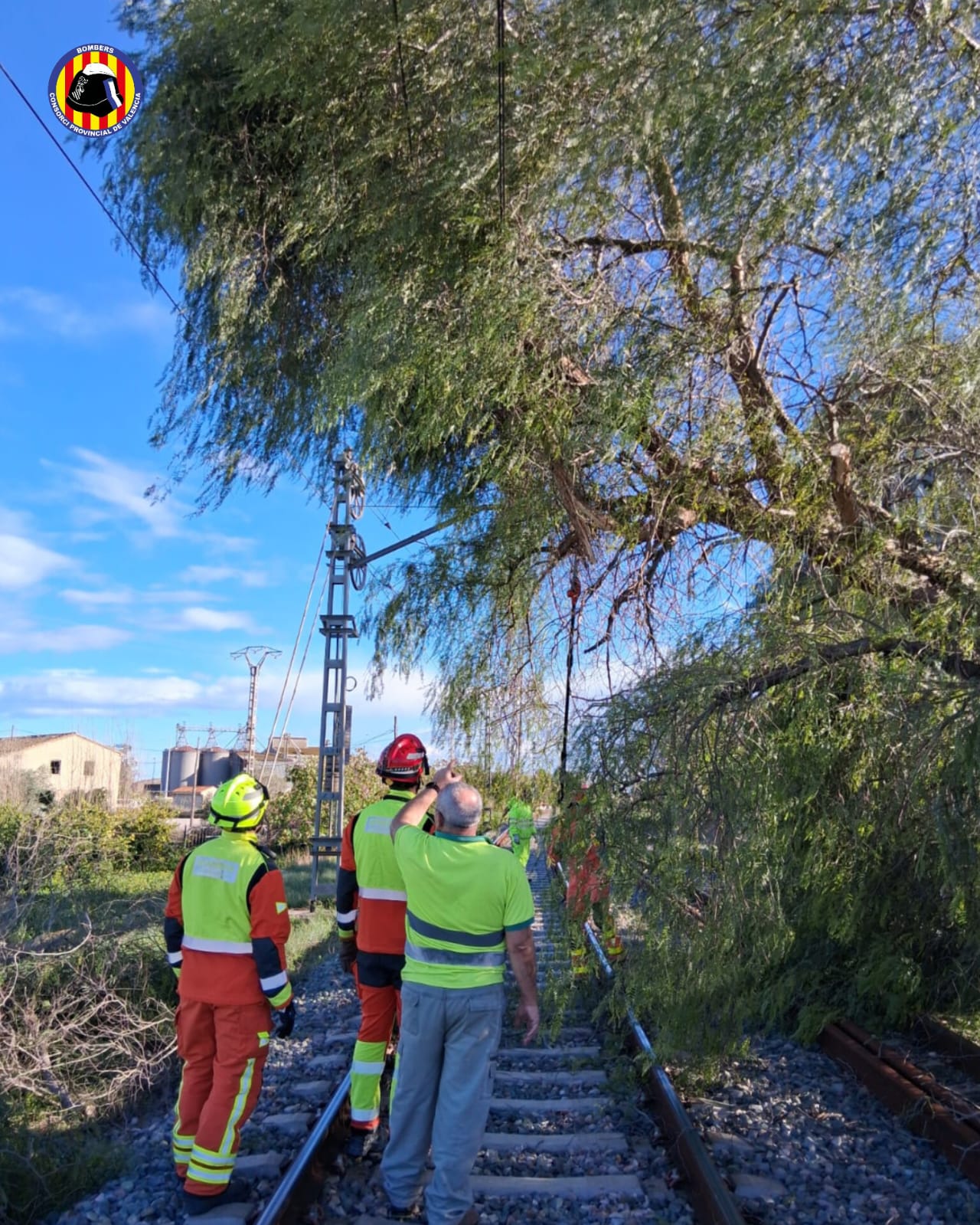 Caída de un árbol sobre las vías del tren en Sollana