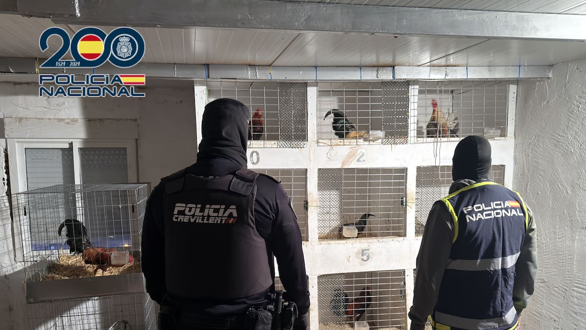 Detenido un hombre en Crevillent que tenía en su domicilio 19 “gallos de pelea”