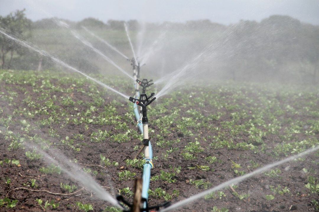 Sistema de riego de campos de cultivo 