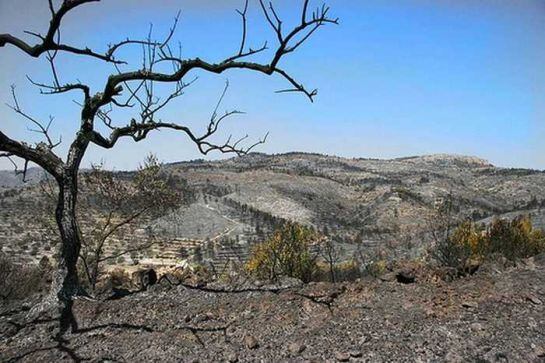 El juicio por el incendio de l&#039;Alcalatén se celebrará el 5 de mayo
