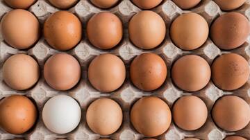 El precio de los huevos fue culpa de Biden y otros bulos del último discurso de Donald Trump