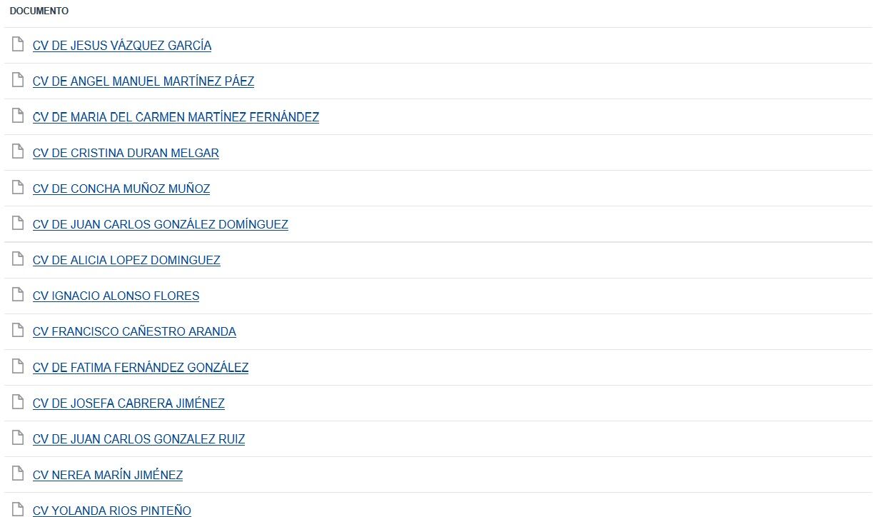 Concejales de Ronda que tienen publicados sus currículums en el portal de Transparencia de la web municipal