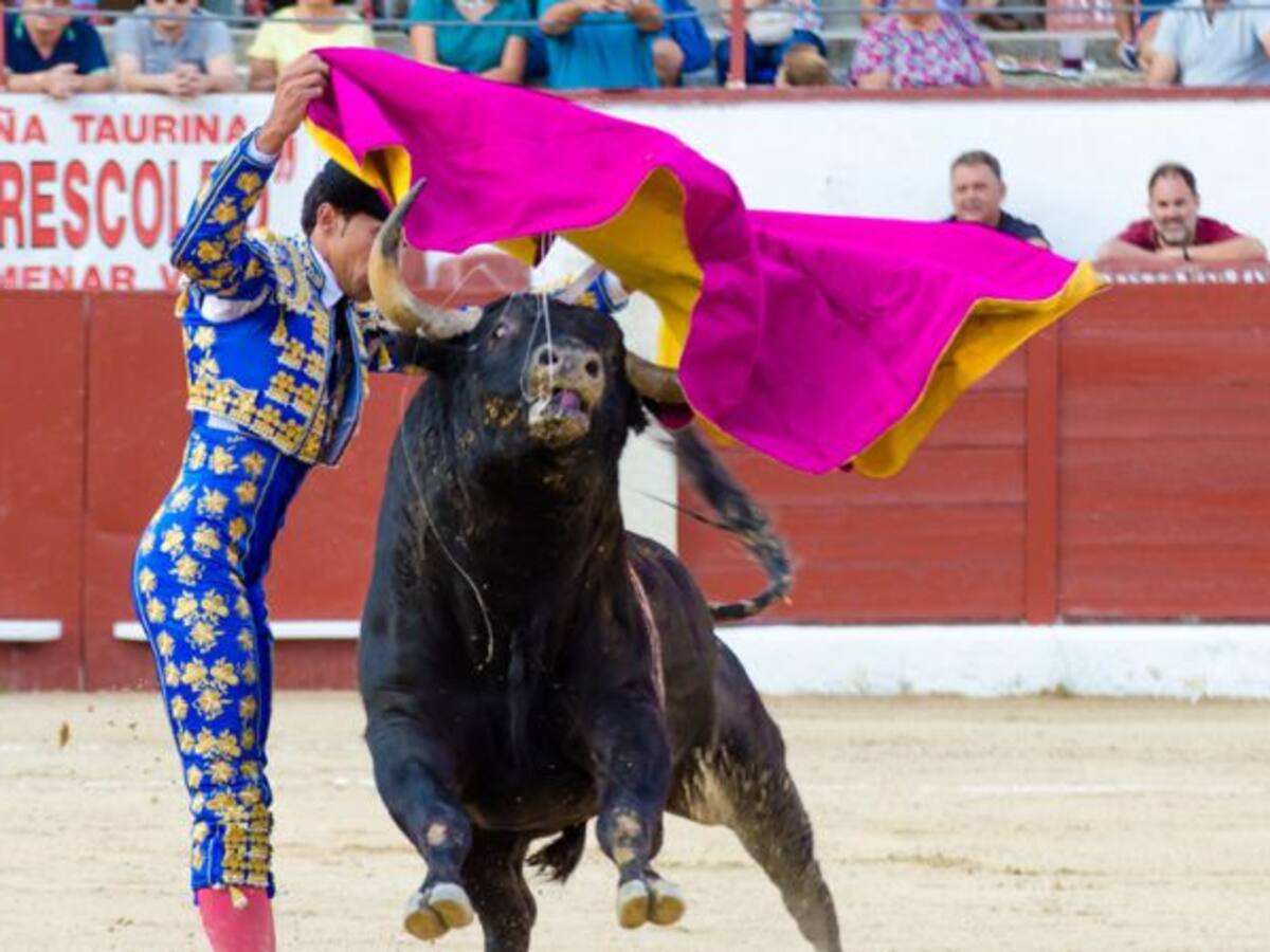 Las promesas del toreo en ‘La Corredera’
