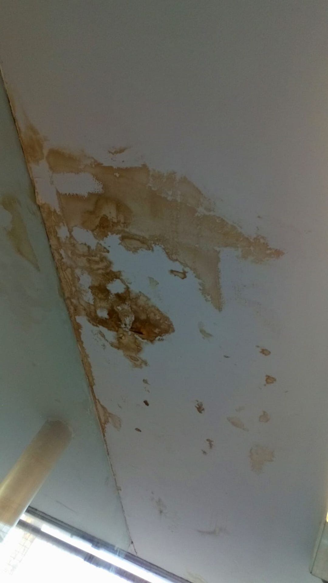 Situaión del techo del gimnasio del colegio Miguel Delibes de Móstoles