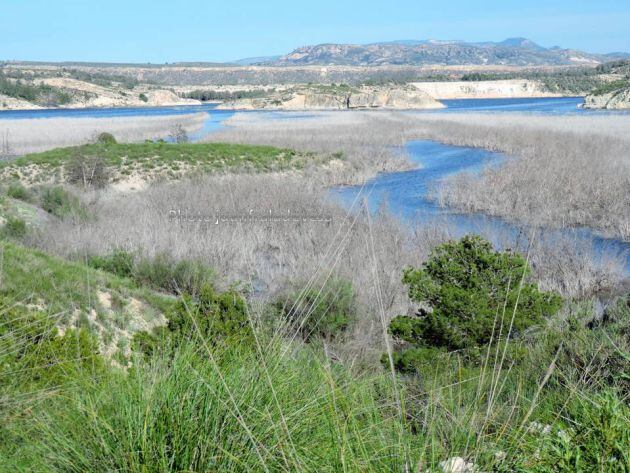 Desembocadura del río Luchena