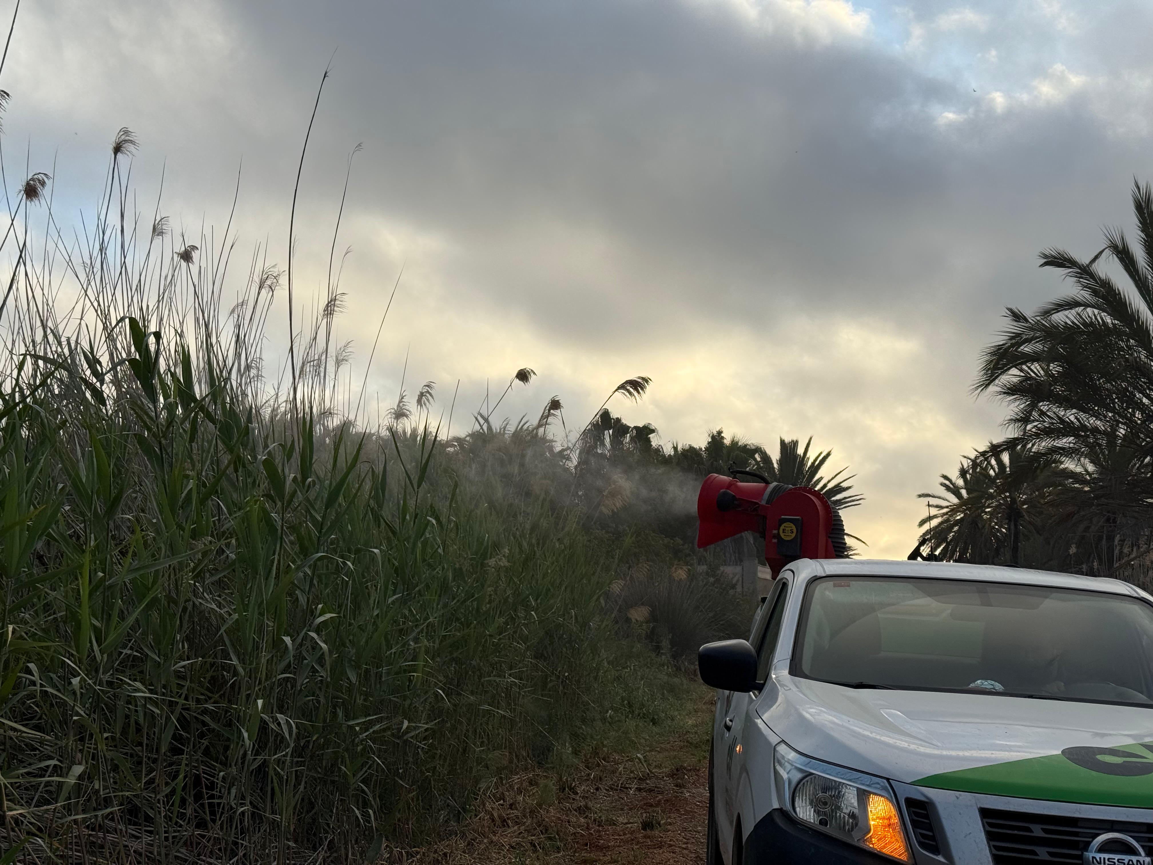 Fumigación en Elche