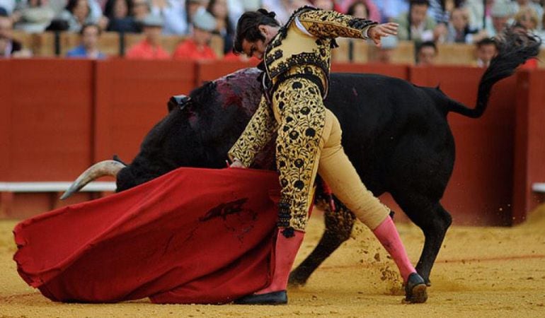 El torero José Antonio &#039;Morante de la Puebla&#039;, durante una de sus actuaciones en la plaza de toros de la Real Maestranza de Caballería de Sevilla