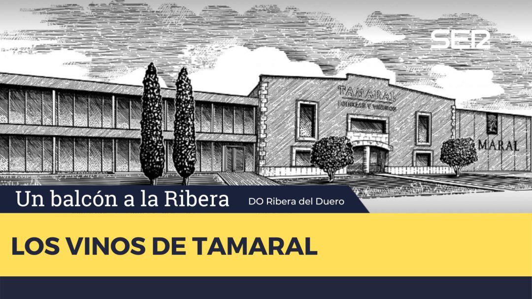 Los vinos de Tamaral