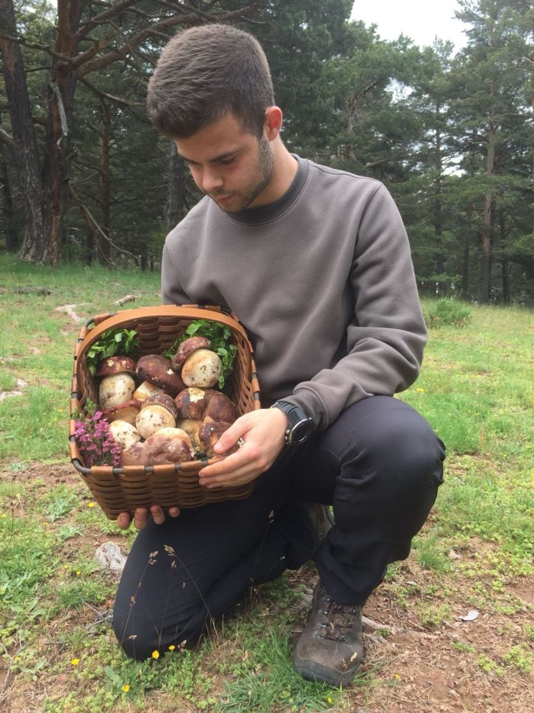 Cosecha record en Palencia de hongos comestibles