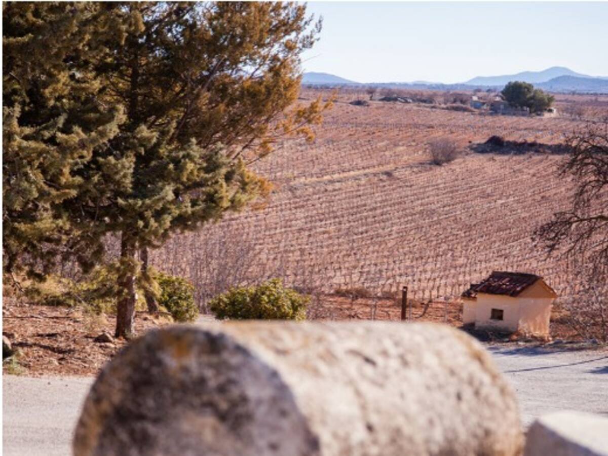 Entrevista a Federico Martínez Roda