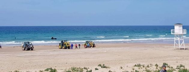 La lejía ha causado destrozos en el arenal.