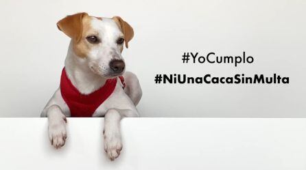 Campaña en redes de Pipper on Tour para concienciar sobre la recogida de excrementos de los perros.