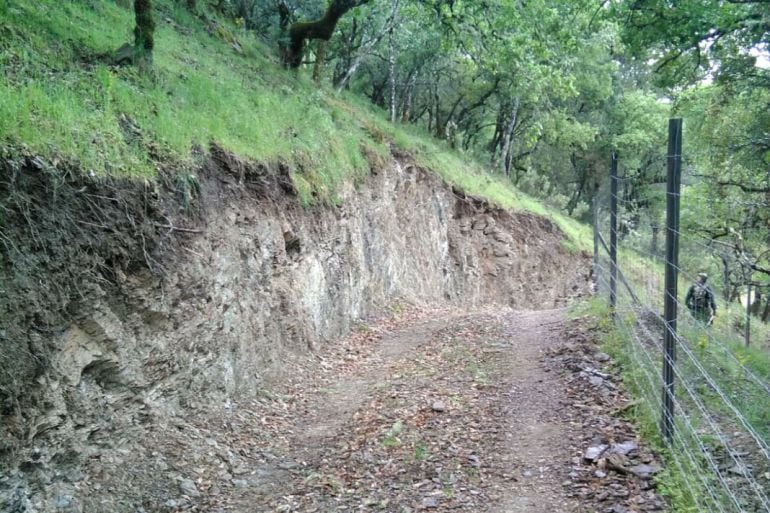 Imagen de la pista en la finca Aljabara de Cárdenas.